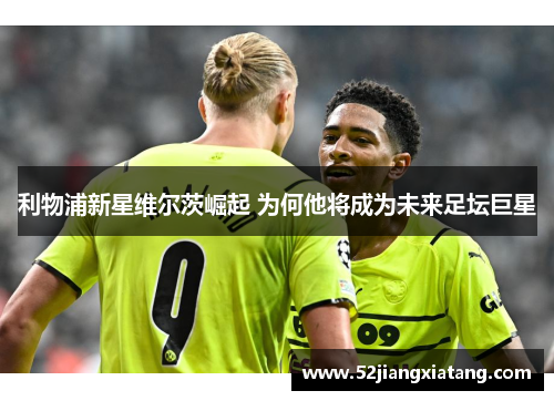 利物浦新星维尔茨崛起 为何他将成为未来足坛巨星